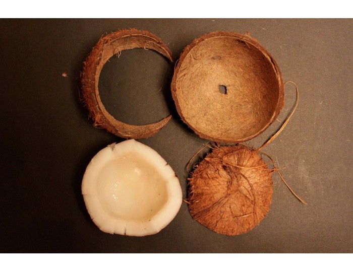 Кокосовый декор: салатницы, юбки и мех